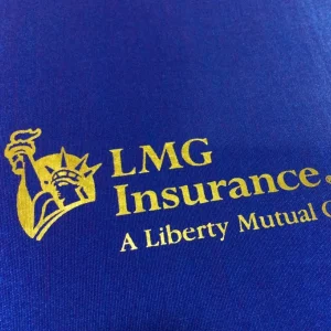 โลโก้สกรีน