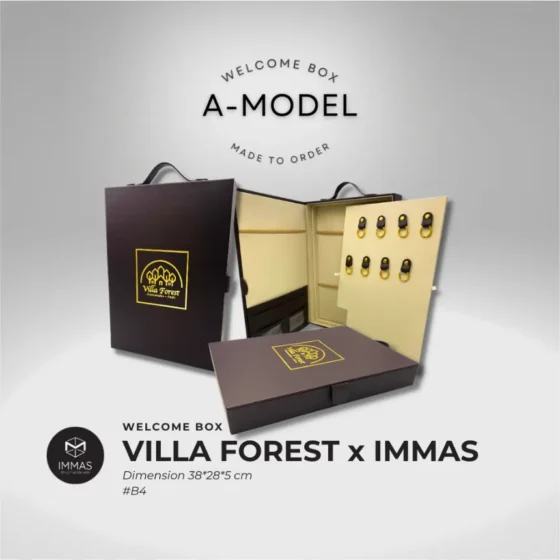 A Model 2 A-Model_2