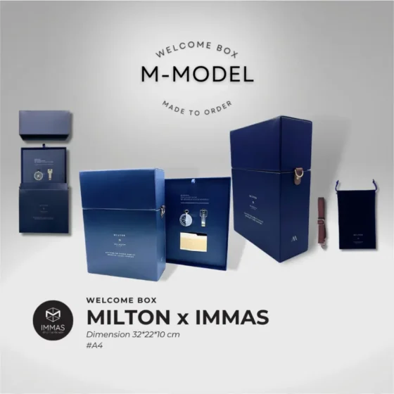 M Model 2 M-Model_2