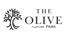 THE OLIVE