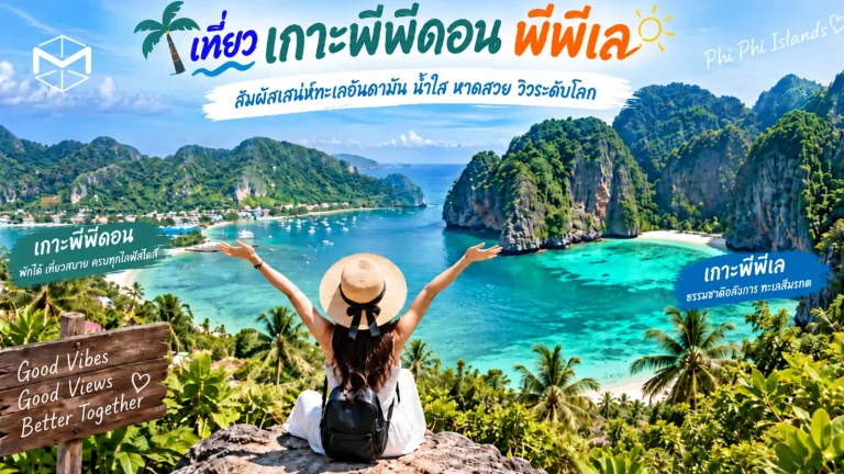 imm banner2 imm banner2 ImmasDesign
